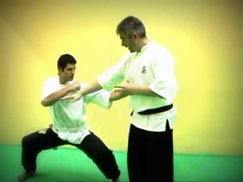 Aprender Artes Marciales - Taikic desde Casa 1