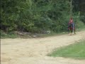 25mph horse by J@A Stables
