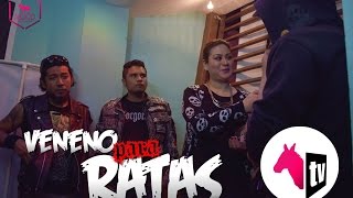 Veneno para Ratas