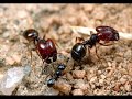 \"njanum ente kudumbavum..\" Anantha sneham