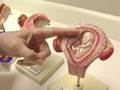 The Abortion Doctor