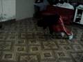 videos de Bboy Loko y Bboy Hernan