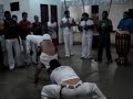 Pequines capoeira nag�