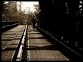 Cryptonites - Zodiac