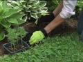 Womanswork Garden Gloves: The best women's garden gloves & gifts for gardeners