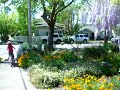 Beautiful Spring Garden Beautiful Spring Garden