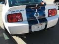 Roadfly.com - Racing in a Ford Mustang Shelby GT500