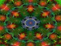 Enigma Turn Around