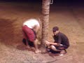 XANDAO, TENTANDO MUDAR O COQUEIRO DE LUGAR...