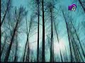 Stratovarius-Forever