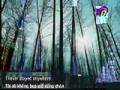 Stratovarius-Forever