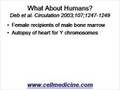 Bone Marrow Differentiation to Heart? YES