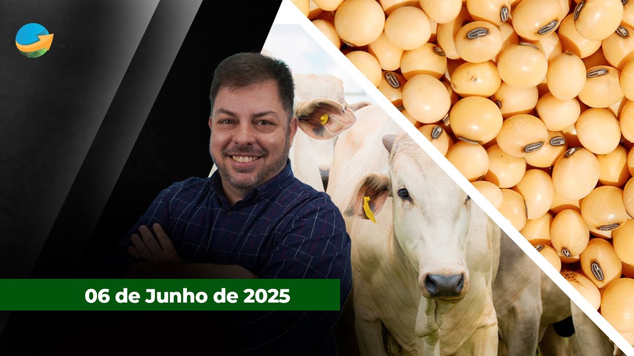 Semana de alta para arroba do boi gordo com negócios em SP voltando aos R$310; milho e soja ...