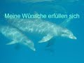 EFT Anleitung: Starte einen guten Tag