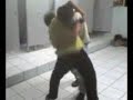 estupidos peleando