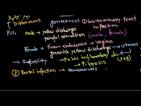 how to treat n. gonorrhoeae