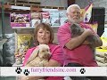 2008 FURRY FRIENDS.wmv 2008 FURRY FRIENDS.wmv
