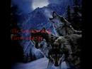 Wolves of the Mist