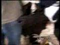 Koninginnedag 1999 pt.2