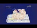 ASTC Corporate Video ASTC Corporate Video