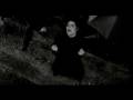 videos de favorite 343