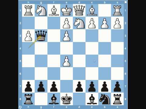 chess chess