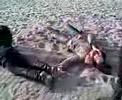 Rollen op 't strand