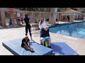 Splash Harlem Shake