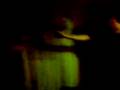 videos de i pazzi scatenati