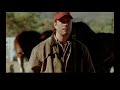 Budweiser Werbung – Pferd gegen Hund