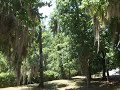 UF Museum stretch of road