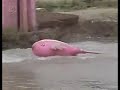 Best of Takeshi's castle