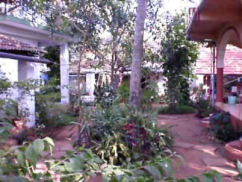 Wideo Anjunapalms Guesthouse