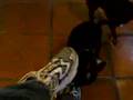 Devildog 