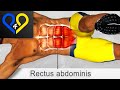 4 Time abs for lower abs