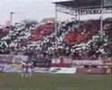 Cracovia Hooligans (Anty Wisla)