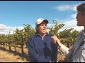 Julia Kock, Klipson Vineyard Manager