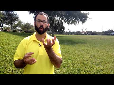 how to fertilize st augustine grass