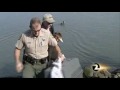 Oiled Birds Washed and Released in Berkeley
