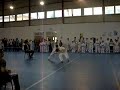 ares dojo