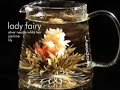 teaposy   blooming teas