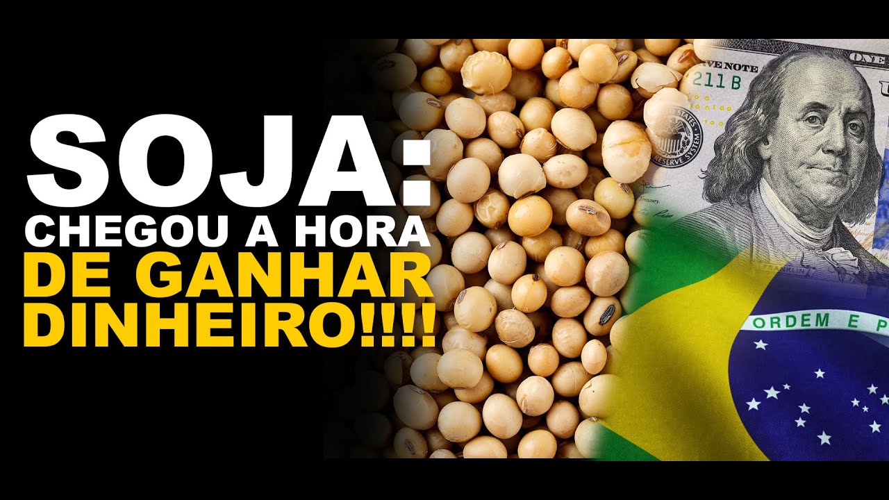 SOJA: CHEGOU A HORA DE GANHAR DINHEIRO!!!!