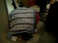 Kurt as the human turtle