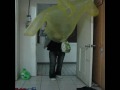 What a Typhoon