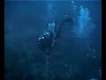 Soft diving in Puerto Galera Philippines Soft diving in Puerto Galera Philippines