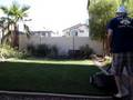 Paul Mows