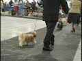 Lindsay Show Day 3 Part 4 Lindsay Show Day 3 Part 4