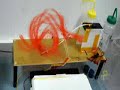 Magnetic Fields