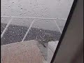 Rough Seas off Sumatra