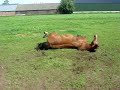 Whoopy aan\ Whoopy aan\